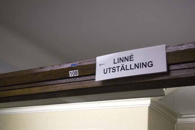 Linneutst&auml;llning