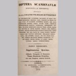 Diptera scandinavica